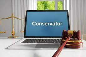 conservatorship in texas