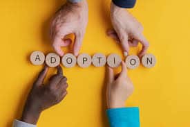 97 1 | Varghese Summersett challenging an adoption order